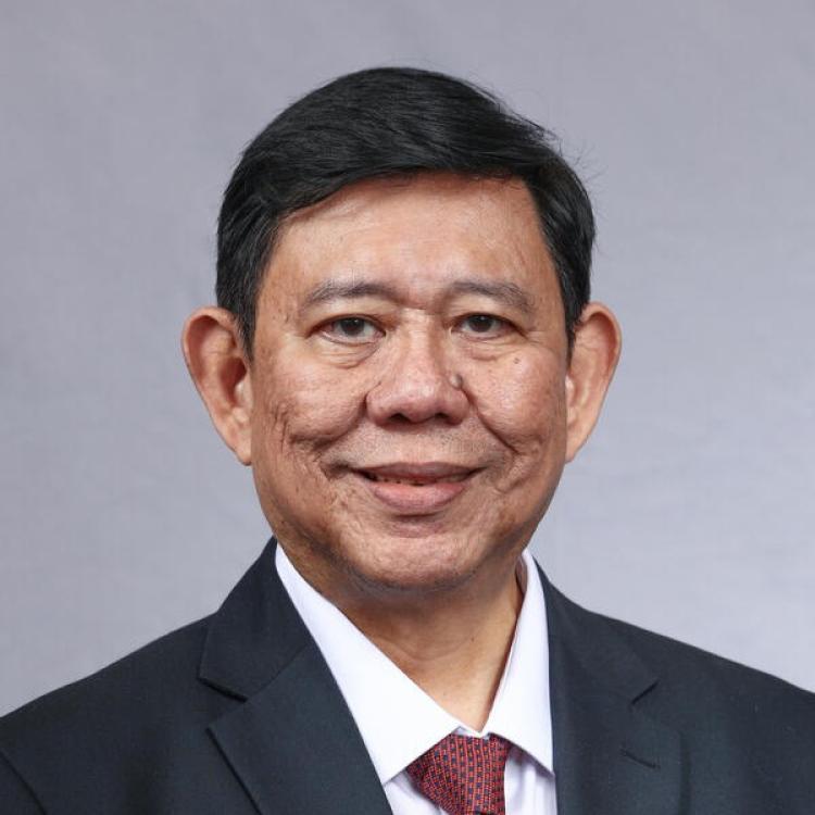 Julio Teehankee, Photo